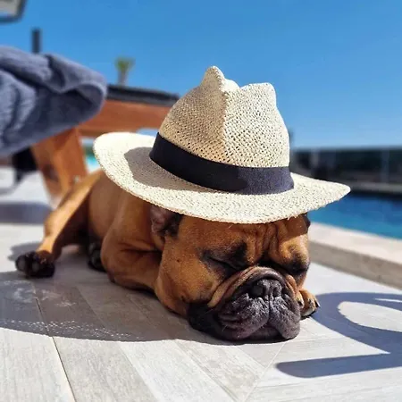 Belissima Vista Mare Villa