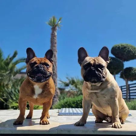 Belissima Vista Mare Villa