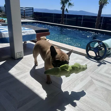 Belissima Vista Mare Villa *